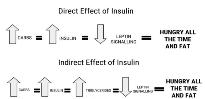 Insulin and blood sugar Jason Yun Columbus Nutrition Company