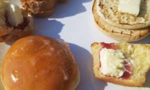 Disney world nutrition by nutritionist jason yun Columbus, OH