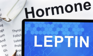 Is leptin making you fat? Jack Kruse
