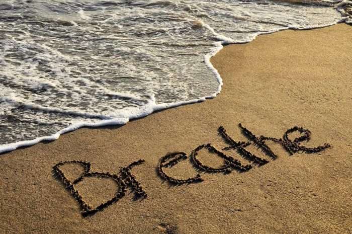 breathe 14 pillars of health jason yun