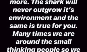 jason yun quotes