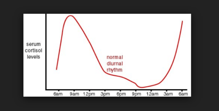 circadian biology of hormones jason yun