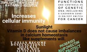 vitamin d protects against cancer breast prostate