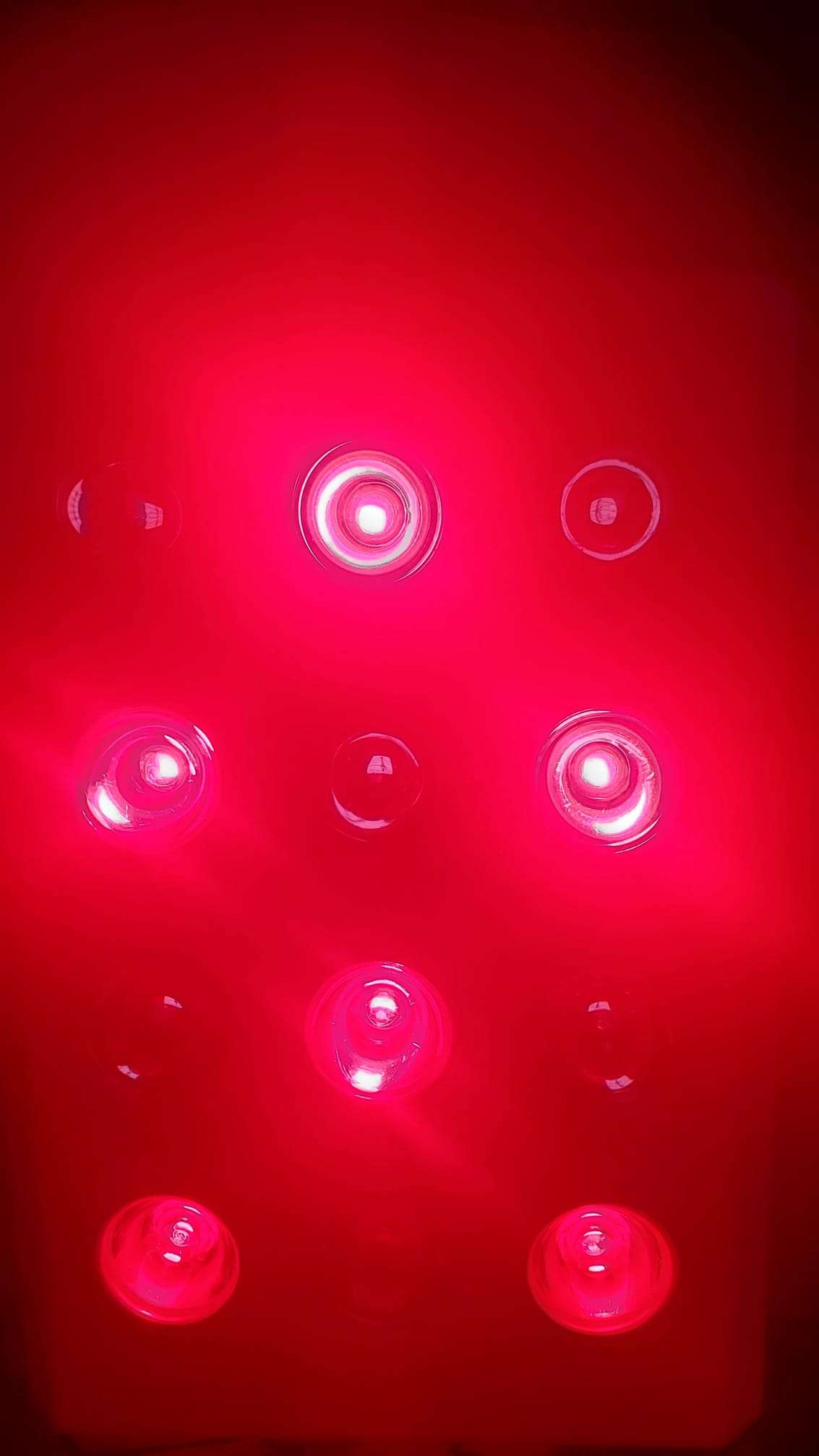 koze health red light therapy