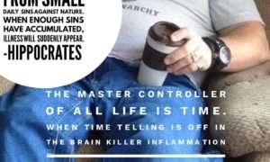 Hippocrates jason yun illness disease obesity fat