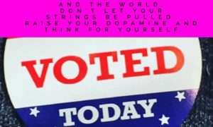 politics is a distraction democratic and republican