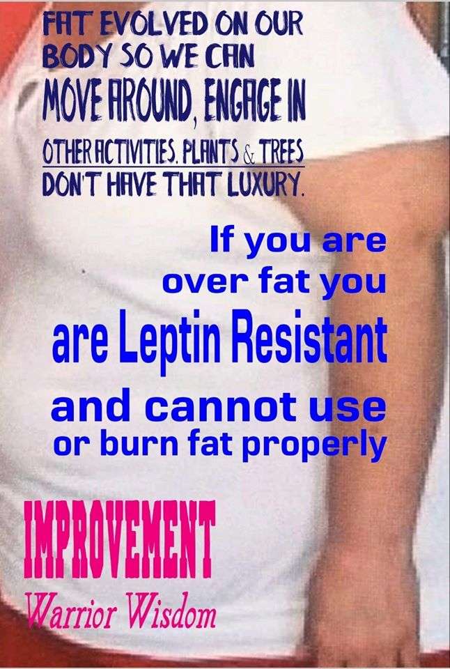 leptin resistance new albany, ohio jason yun