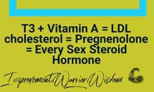 LDL cholesterol is not bad. Jason Yun 47-day ketogenic diet challenge