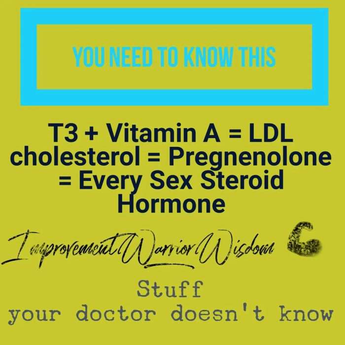 LDL cholesterol is not bad. Jason Yun 47-day ketogenic diet challenge 