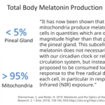 Melatonin is made primarily in the gut and eyes not the pineal gland.