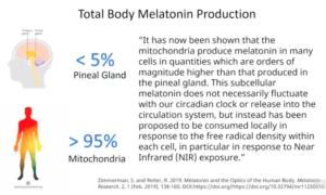 Melatonin is made primarily in the gut and eyes not the pineal gland.