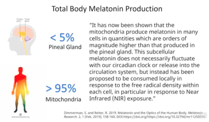 Melatonin is made primarily in the gut and eyes not the pineal gland.
