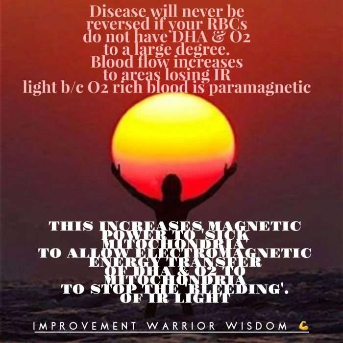 oxygen DHA magnetism jason yun dr. jack kruse iron deficiency 