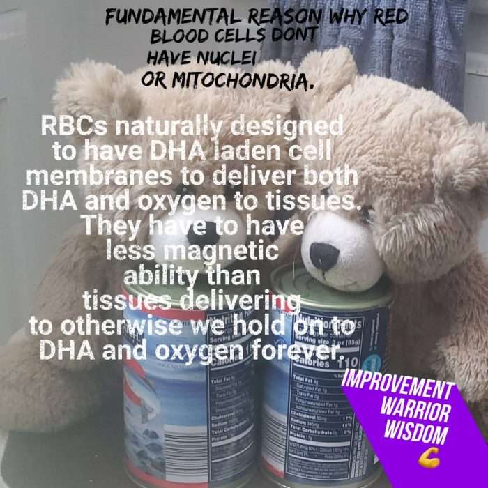DHA and oxygen and red blood cells hemoglobin iron deficiency jason yun new albany ohio 