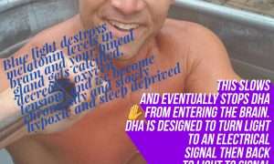 DHA and melatonin and iodine for cancer reduction jason yun jack kruse