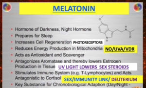 melatonin hormone of darkness made in UVA sunlight jason yun jack kruse