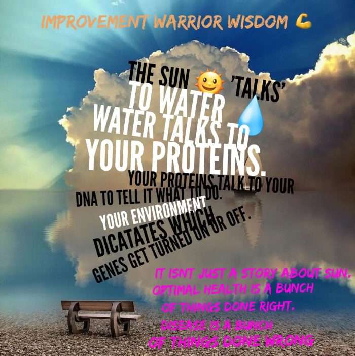 Epigenetics turn DNA deadly. your environment matters jason yun dr. jack kruse 