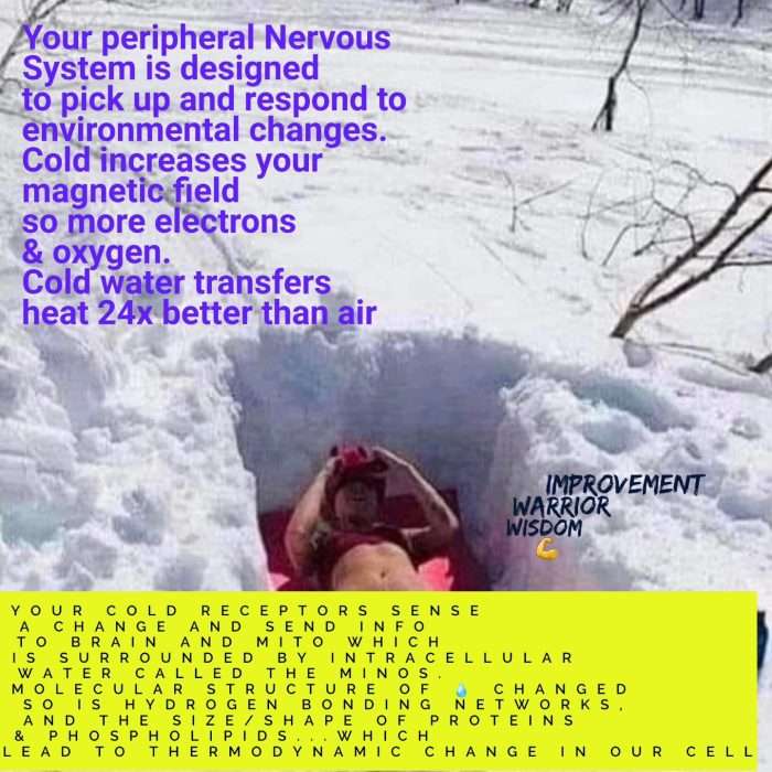 Cold thermogenesis winter sun log by jason yun circadian rhythm mitochondriac coach 